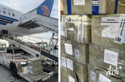 开云体育-在德国法兰克福，茂名荔枝“甜蜜邂逅”文成杨梅