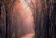 kering-（体育）足球——意甲：AC米兰平萨索洛