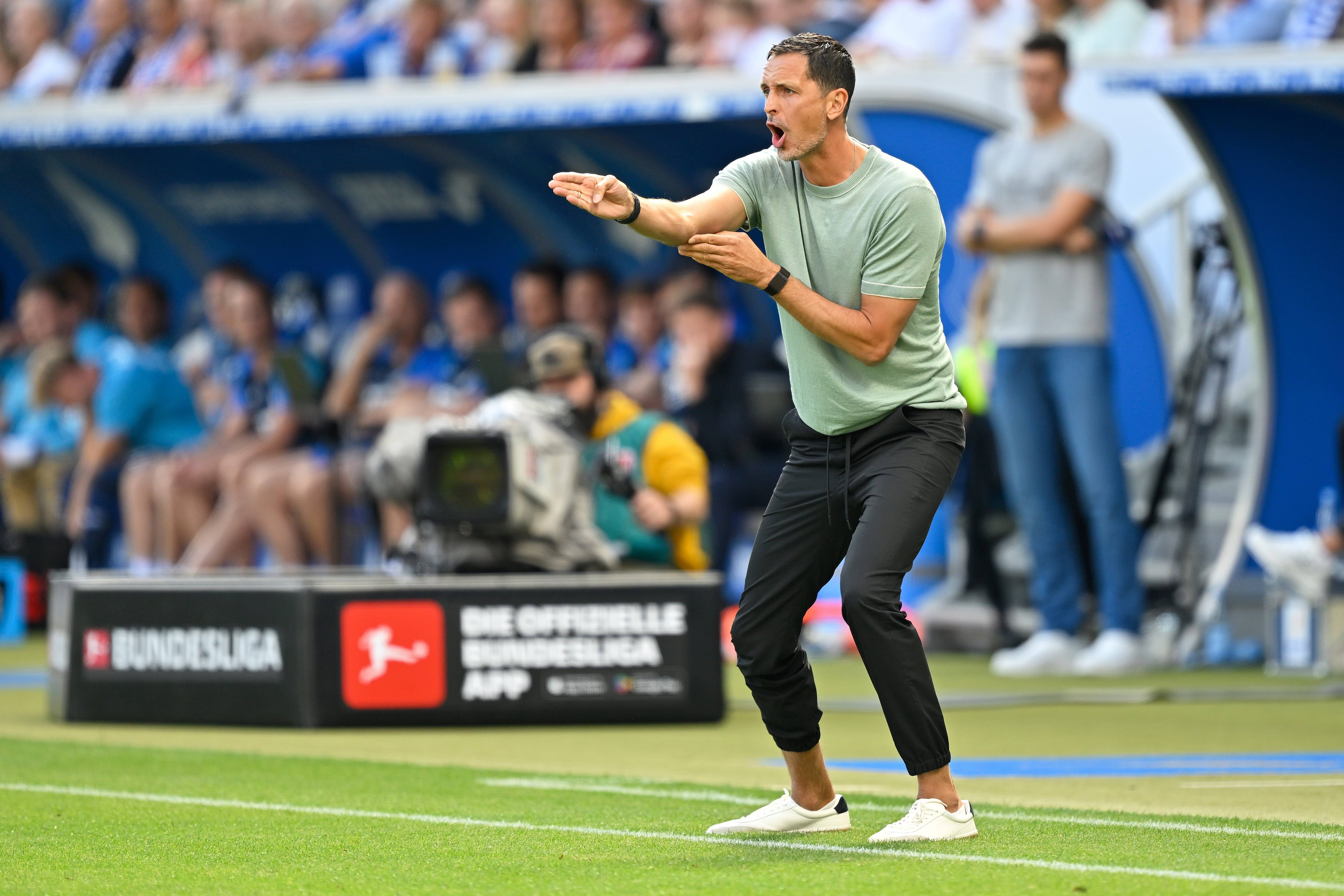 (体育)足球——德甲:法兰克福胜霍芬海姆