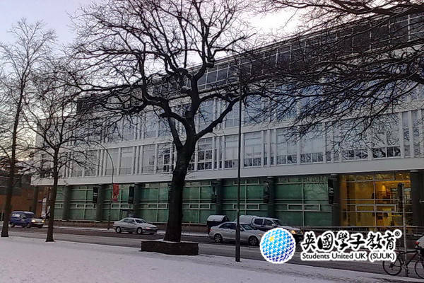 布莱顿大学国际大一：低门槛入读英国名校